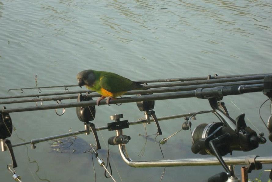 din natura - 7341075554870311403591586926598n.jpg